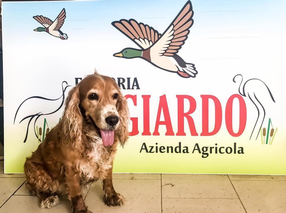 Fattoria Il Giardo Διαμέρισμα Pietrasanta Εξωτερικό φωτογραφία