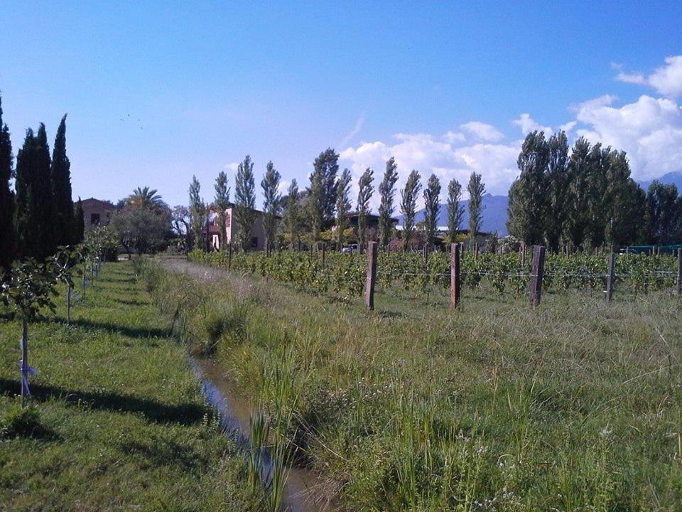 Fattoria Il Giardo Διαμέρισμα Pietrasanta Εξωτερικό φωτογραφία