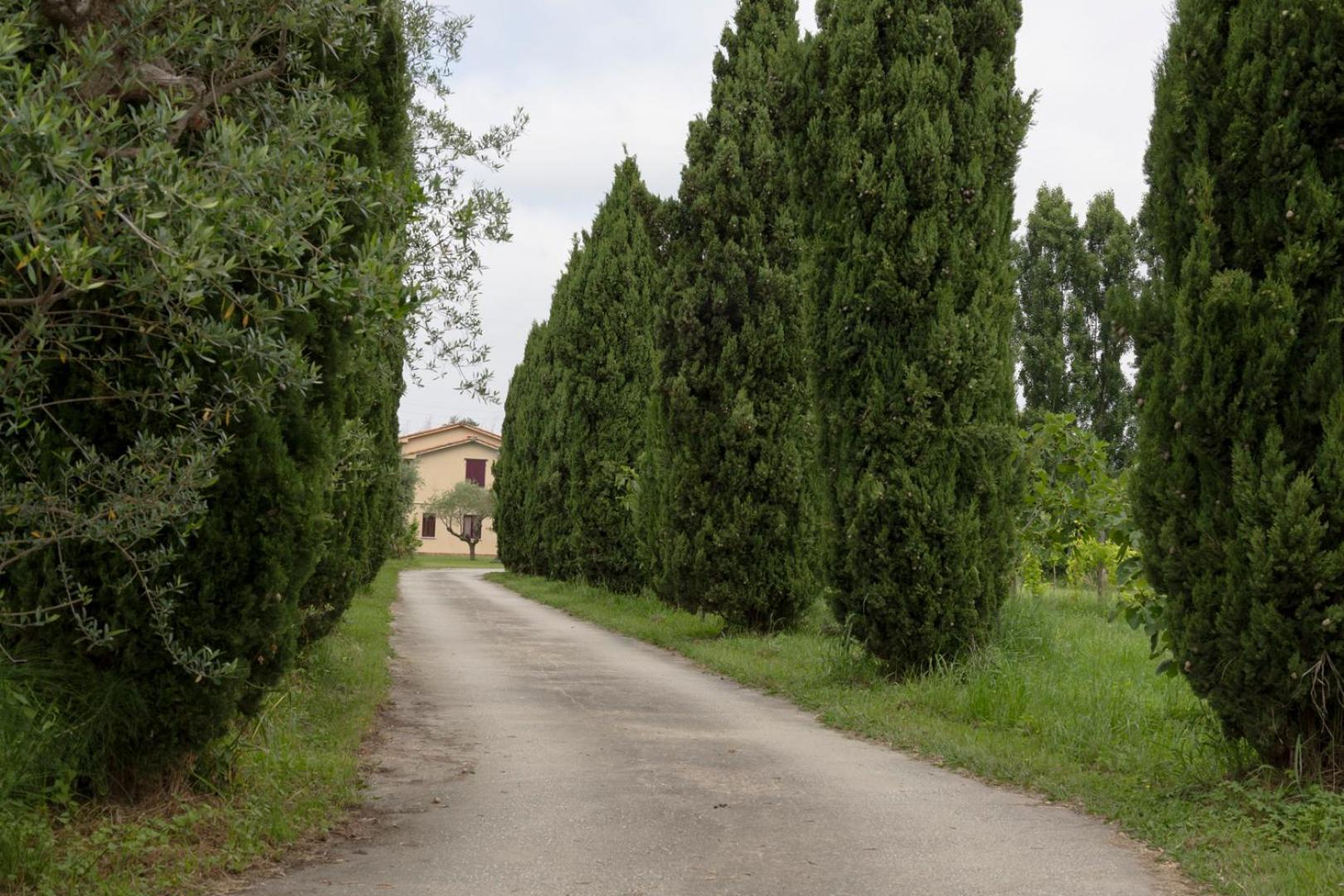 Fattoria Il Giardo Διαμέρισμα Pietrasanta Εξωτερικό φωτογραφία