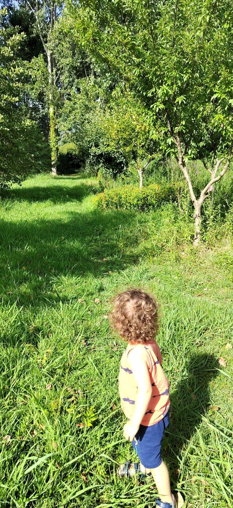 Fattoria Il Giardo Διαμέρισμα Pietrasanta Εξωτερικό φωτογραφία